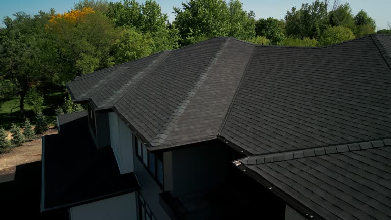 Best Roof Moss and Algae Removal  in Lock Haven, PA